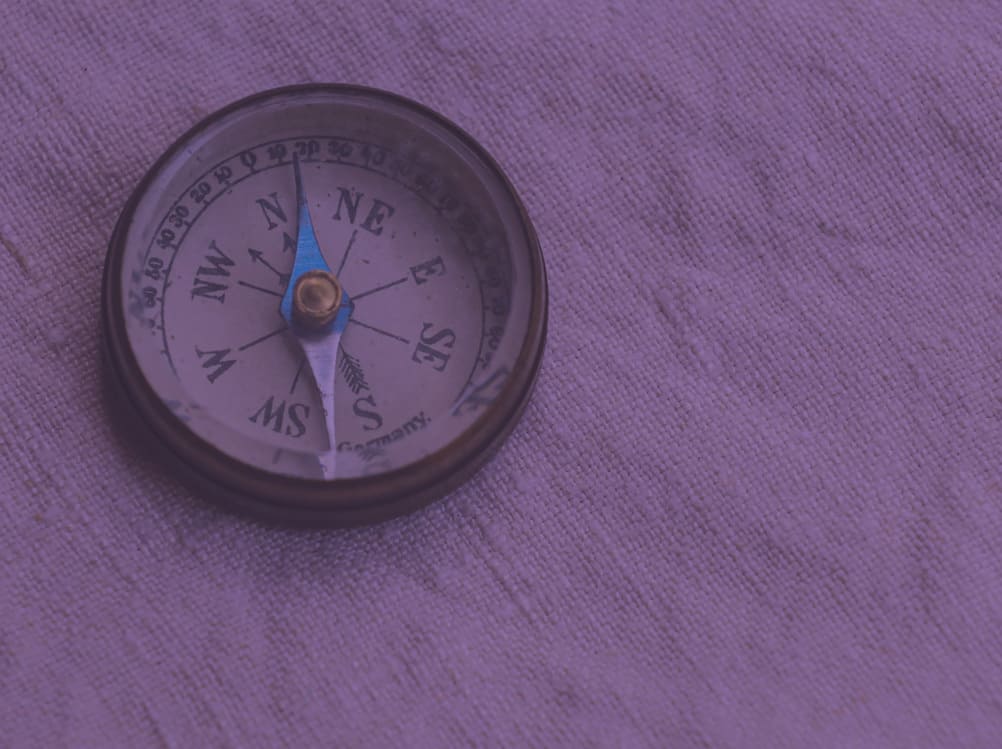 Nie ma fal, jest sukces. Case Study Google Ads.